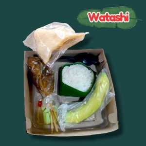 NASI KOTAK SATE AYAM