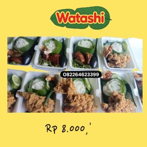 NASI KOTAK AYAM KENTUCKY