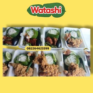 Nasi Sterofoam Ayam Krispi / Bakar