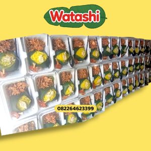 Nasi Kuning Sterofoam Ayam Suwir