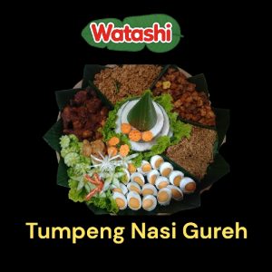 Nasi Tumpeng 10 Porsi