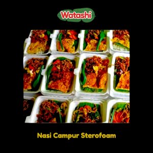 Nasi Campur Sterofoam Paling Ekonomis